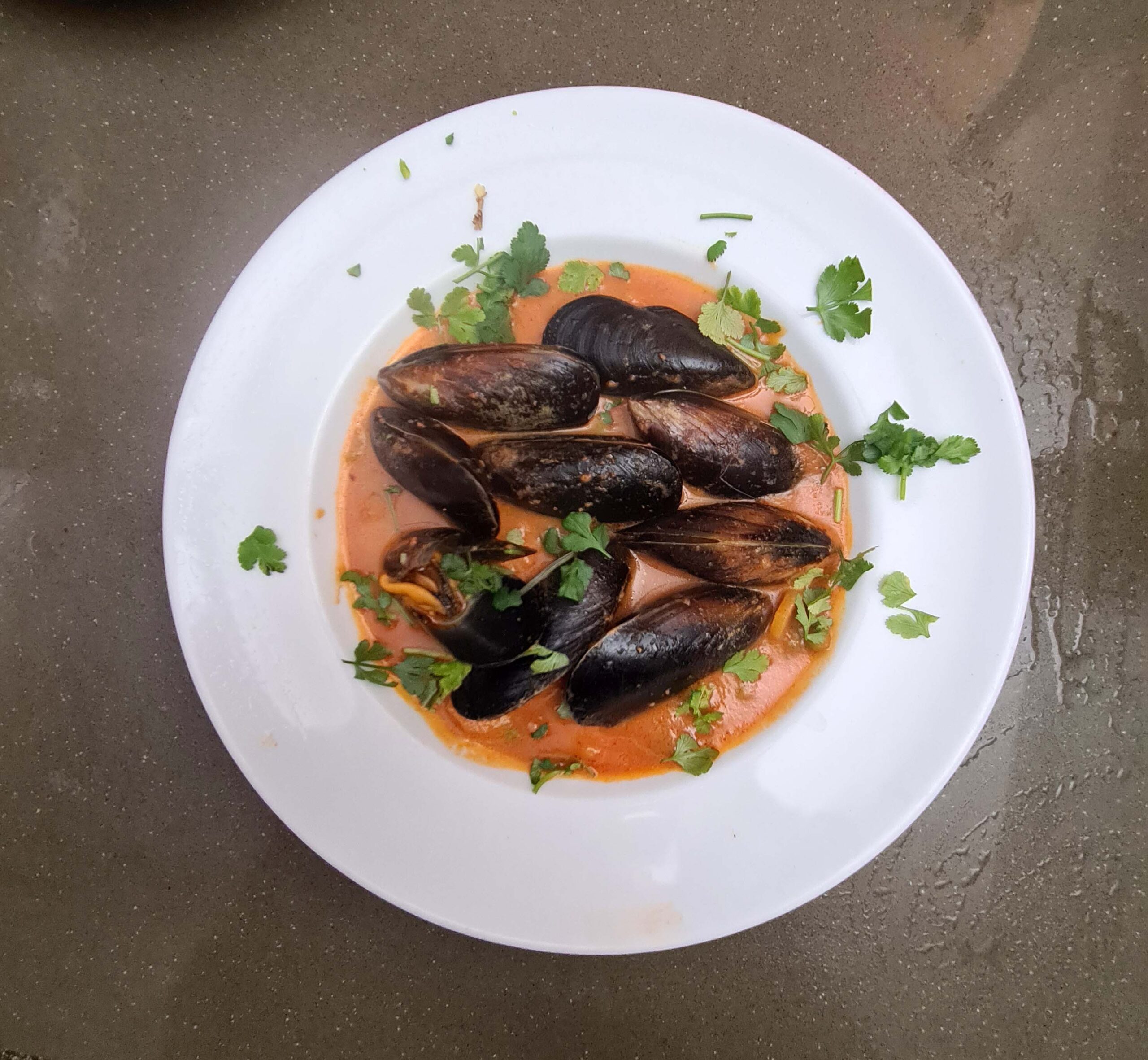 mussels in creamy tomato broth